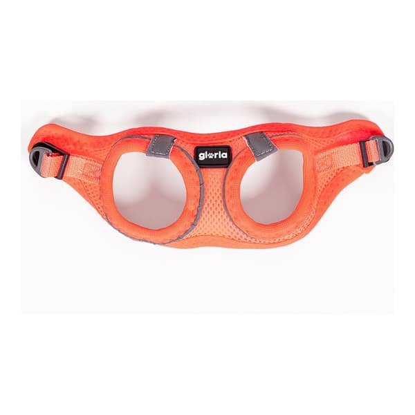 Hundesele Gloria Air Mesh Trek Star Justerbar Oransje L (33,4-35 cm)