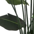 Miniatyrbillede 2 af 2: Dekorativ plante Ibergarden BRS-ADG147 Plastik Jernkabel Paradisets fugl 130 x 160 x 130 cm