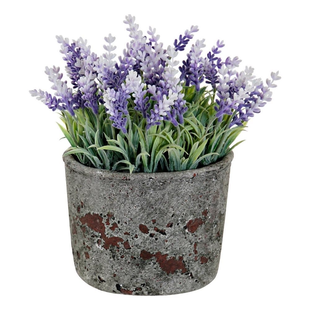 Dekorativa blommor DKD Home Decor Lavendel Cement Järn PE (15 x 15 x 21 cm)