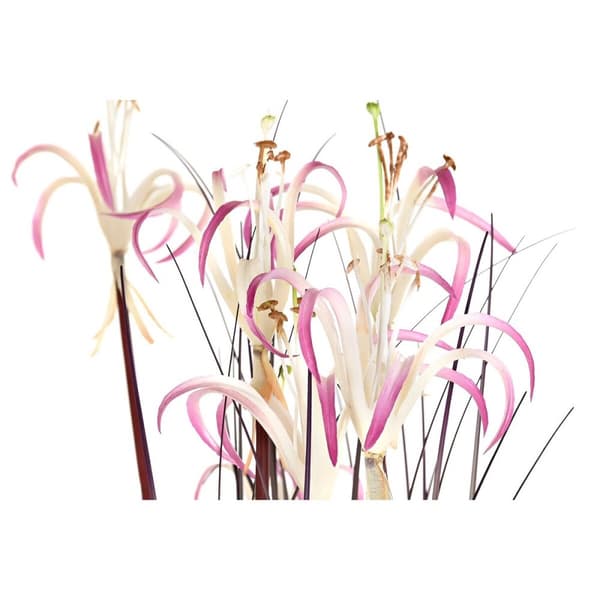 Dekorativ Plante DKD Home Decor 45 x 45 x 140 cm Metall Oransje Grønn Burgunder PVC (2 enheter)