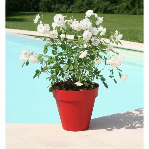 Kruka Riviera Soleilla 60 x 54 cm Röd Intenzivno Rund Ø 60 x 53,6 cm