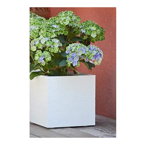 Urtepotte EDA Hvid Plastik 5 cm