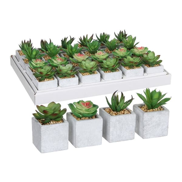 Dekorativ växt Mica Decorations 8 x 5 cm Grön PVC Suckulent