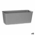 Miniatyrbilde 1 av 3: Planter Stefanplast 73660 Grå Plast 13 x 11 x 29 cm (12 enheter)