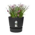 Miniatyrbillede 4 af 6: Urtepotte Elho Greenville Sort Plastik Cirkulær Ø 30 cm Ø 29,5 x 27,8 cm