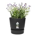 Miniatyrbillede 5 af 6: Urtepotte Elho Greenville Sort Plastik Cirkulær Ø 30 cm Ø 29,5 x 27,8 cm