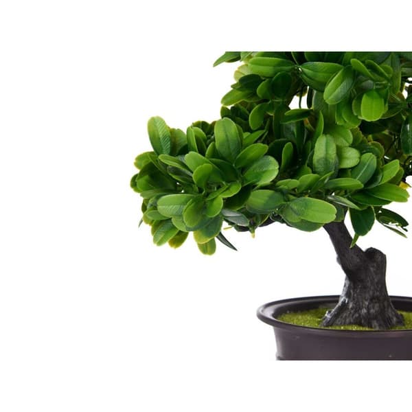 Dekorativ växt Ibergarden XD19-1395B Plast Bonsai 27 x 28 x 14 cm (8 antal)