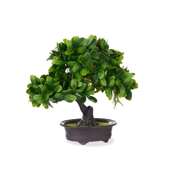 Dekorativ växt Ibergarden XD19-1395B Plast Bonsai 27 x 28 x 14 cm (8 antal)