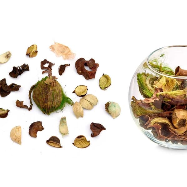 Dekorative blomster Jasmin 200 g Grønn Naturell (12 enheter)
