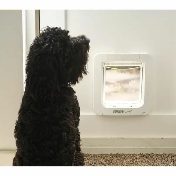 Kattlucka SureFlap SUR101 17,8 x 17 cm