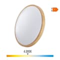 Miniatyrbilde 3 av 3: LED-taklampe EDM 32539 F 18 W 1820 Lm Rund Overflate (4000 K)