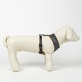 Miniatyrbilde 8 av 11: Hundesele Harry Potter Vendbar Rød M