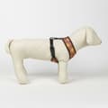 Miniatyrbilde 9 av 11: Hundesele Harry Potter Vendbar Rød M