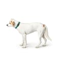 Miniatyrbilde 3 av 3: Hundehalsbånd Hunter Turkis 12