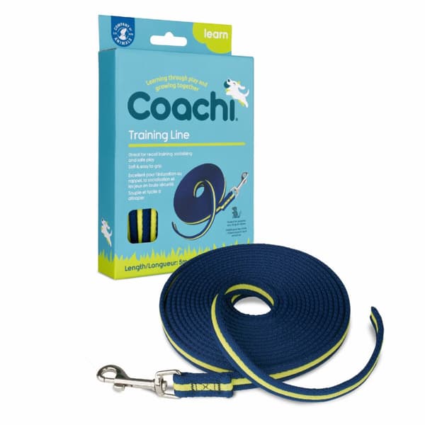 Hundeleder Coachi Blå Trening