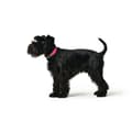 Miniatyrbild 4 av 4: Hundhalsband Hunter Convenience 53-61 cm L/XL Fuchsia