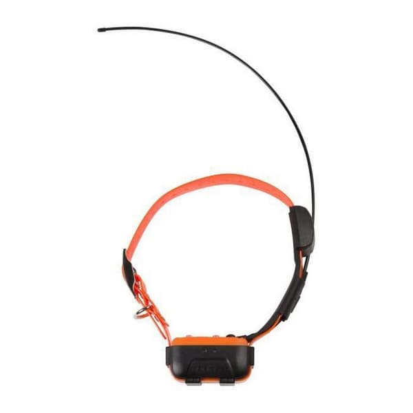 Koiran kaulapanta Num'Axes Canicom GPS GEO1047