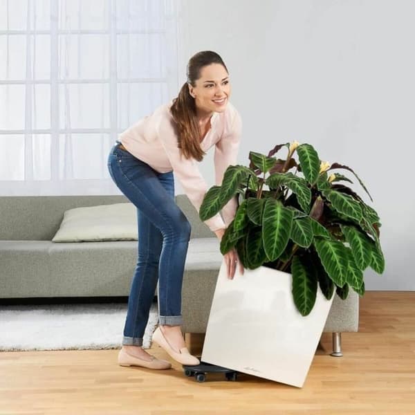 Selvvandende pot Lechuza Hvid 50 x 50 cm polypropylen Plastik