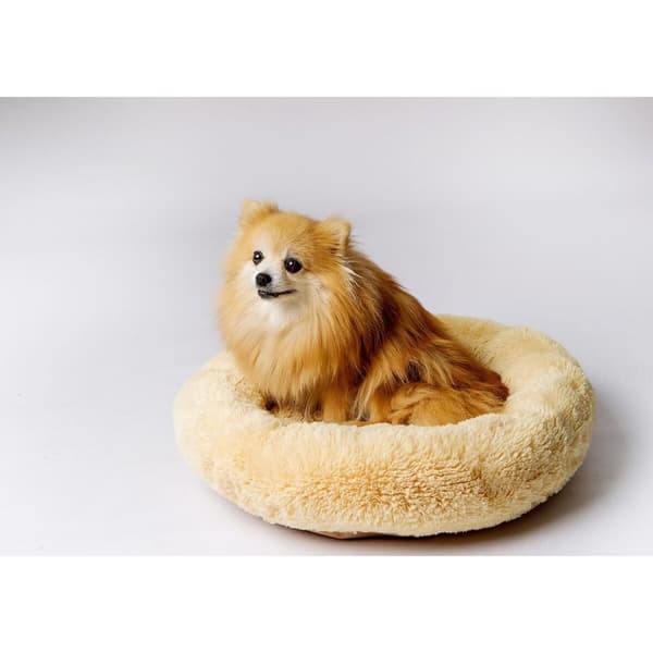Hundeseng GO GIFT M 50 x 10 x 57 cm