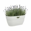 Miniatyrbillede 5 af 5: Urtepotte Elho 3662603645100 Hvid Plastik Rektangulær Moderne 24 x 36 x 26,5 cm