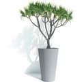 Miniatyrbild 3 av 4: Kruka Garden ID