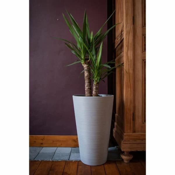Kruka Garden ID