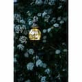 Miniatyrbild 3 av 3: Solcellslampa Garden ID Royal