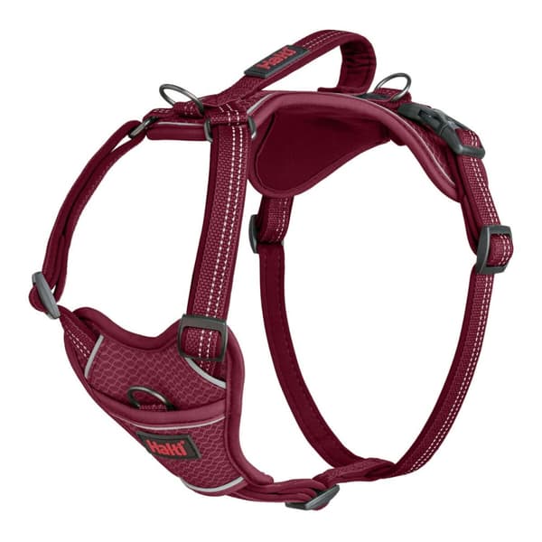 Hundesele Company of Animals Bourgogne L 42-65 cm