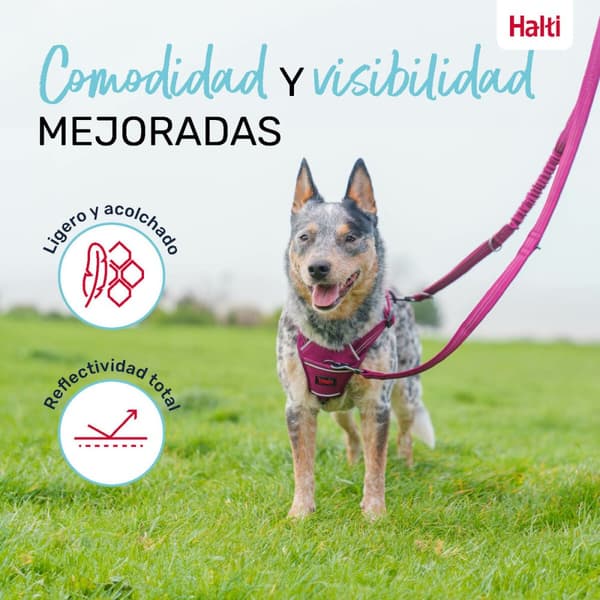 Hundeleder Company of Animals Burgunder L