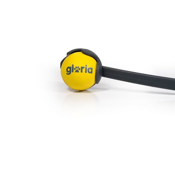 Pallonheitin koiralle Gloria