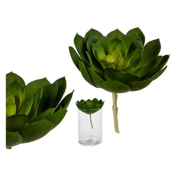 Dekorativ plante Ibergarden YD180138 Plastik