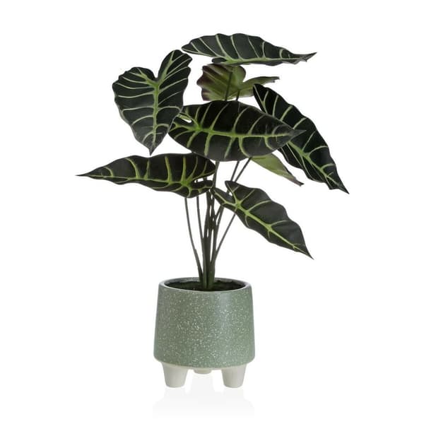 Dekorativ Plante Versa Metall Keramikk polystyren Plast 30 x 46 x 34 cm