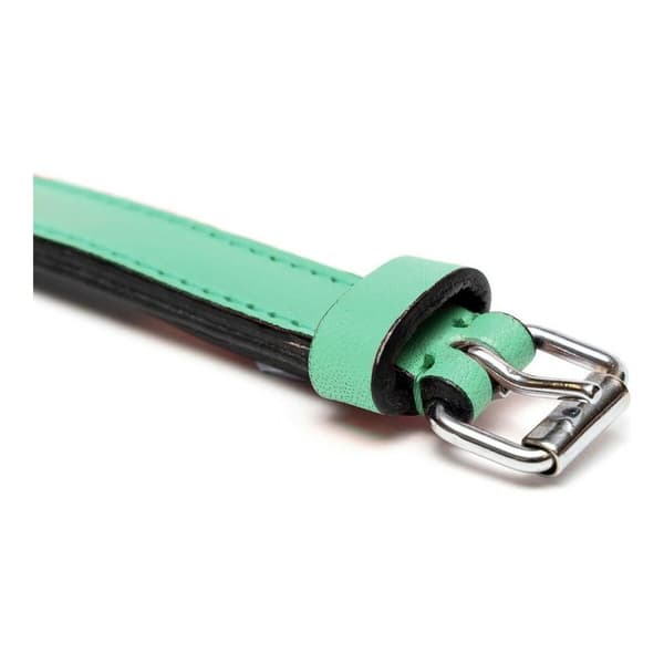 Hundhalsband Gloria Vadderad Grön (50 x 2,5 cm)