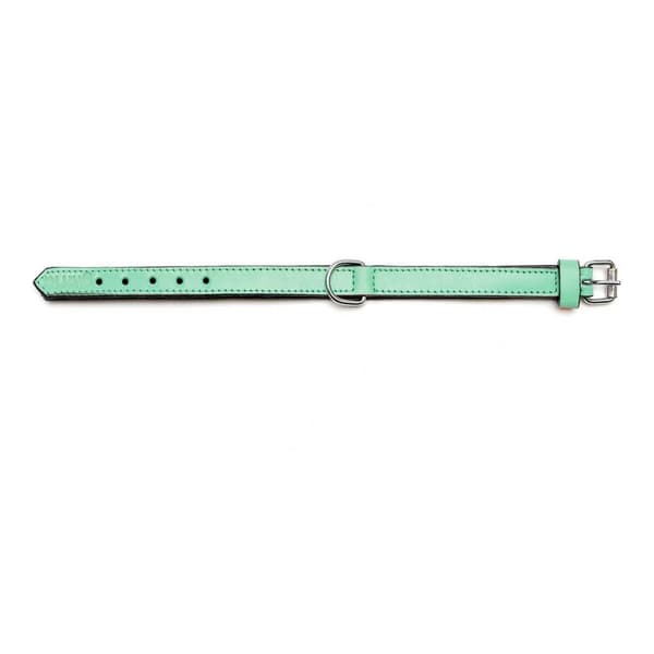 Hundhalsband Gloria Vadderad Grön (50 x 2,5 cm)