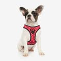 Miniatyrbilde 7 av 11: Hundesele Minnie Mouse Rød