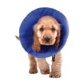 Miniatyrbild 1 av 2: Elizabethan Hundhalsband KVP EZ Soft Blå (30-50 cm)