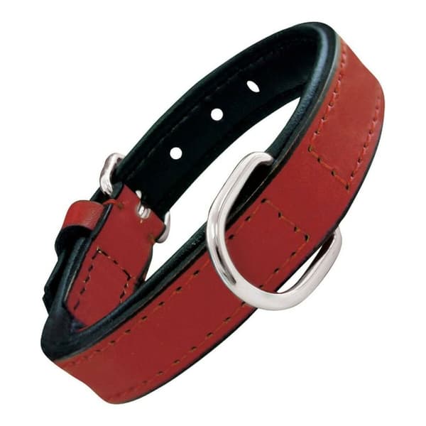 Hundehalsbånd Gloria Polstret Rød 50 cm (50 x 2,5 cm)