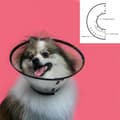 Miniatyrbild 2 av 3: Elizabethan Hundhalsband KVP Saf-T-Clear Transparent (22-43 cm)