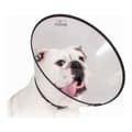 Miniatyrbild 1 av 3: Elizabethan Hundhalsband KVP Saf-T-Clear Transparent (22-43 cm)