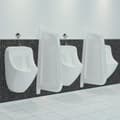 Miniatyrbild 11 av 11: vidaXL Skiljevägg för urinal keramik vit