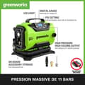 Miniatyrbild 2 av 4: Kompressor Greenworks verktyg - 3400807