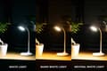 Miniatyrbild 7 av 7: Montis Multifunktionell uppladdningsbar LED-skrivbordslampa MT044 bordslampa 3 W Vit