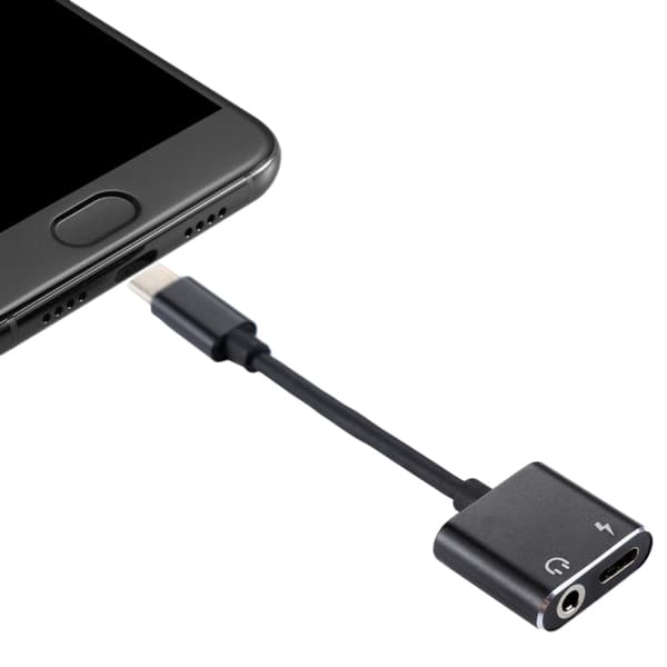 2 in 1 3.5mm to USB-C Adapter