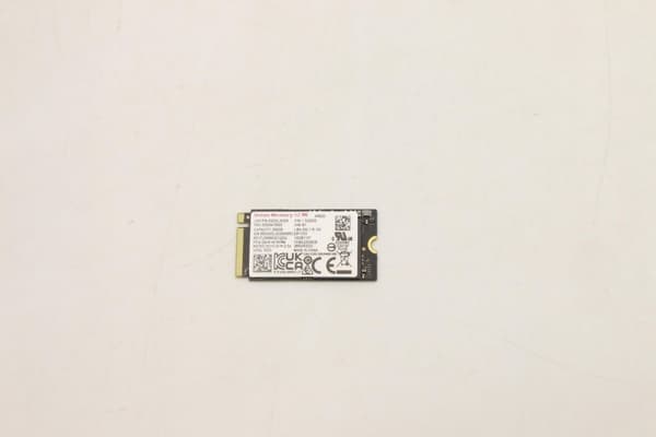 Lenovo 256 GB M.2 2242 PCIe 4.0 NVMe SSD, 5SS0W79505