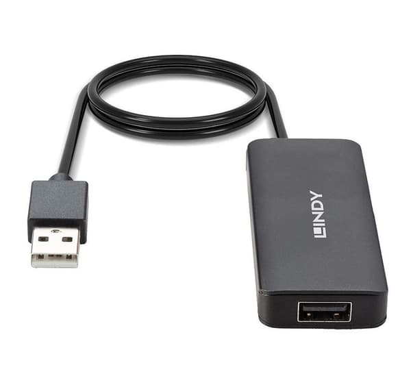 I/O HUB USB2 4PORT/42986 LINDY