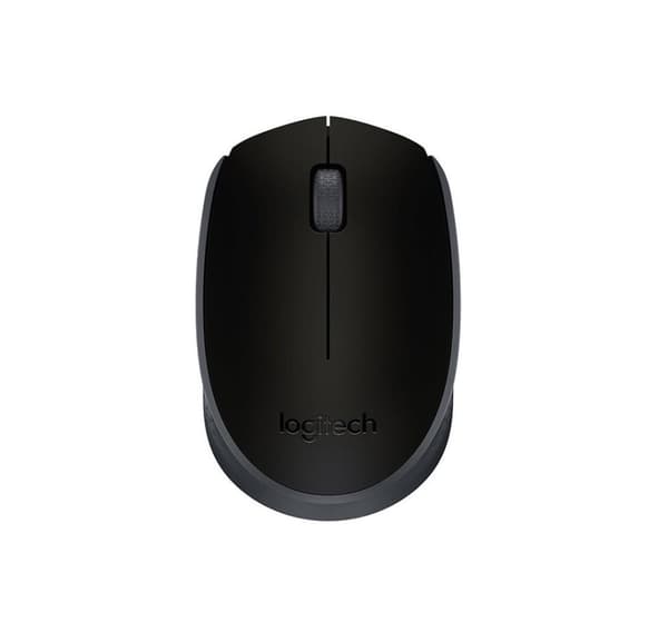 Mus USB optisk WRL M171, svart, LOGITECH Sort