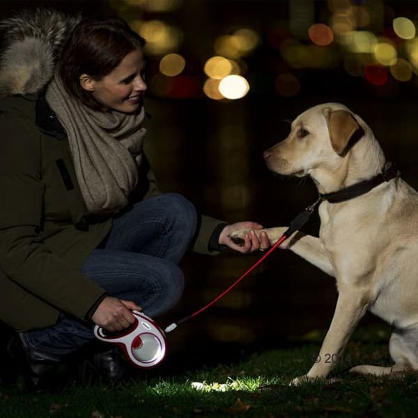 Lampe LED Belysningssystem Svart Svart