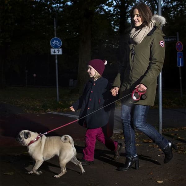 Lampe LED Belysningssystem Svart Svart