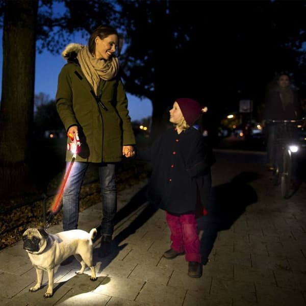 Lampe LED Belysningssystem Svart Svart