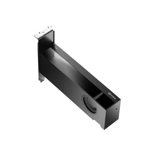 NVIDIA - grafikkort - NVIDIA RTX 2000 Ada - 16 GB Svart